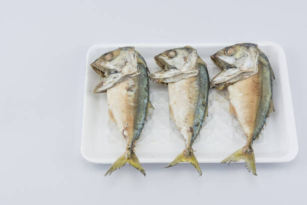istock mackerel in a foam tray 917511336