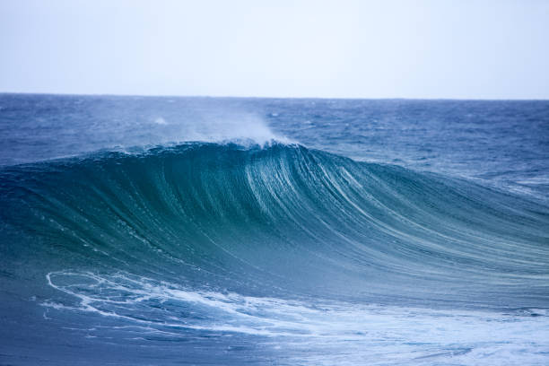 Ocean Wave stock photo