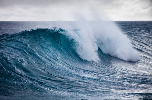 Ocean Wave stock photo