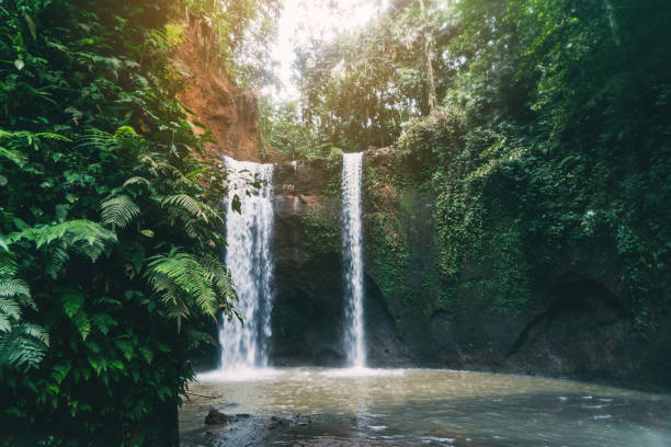 istock Tibumana waterfall in Bali, Indonesia 917512350