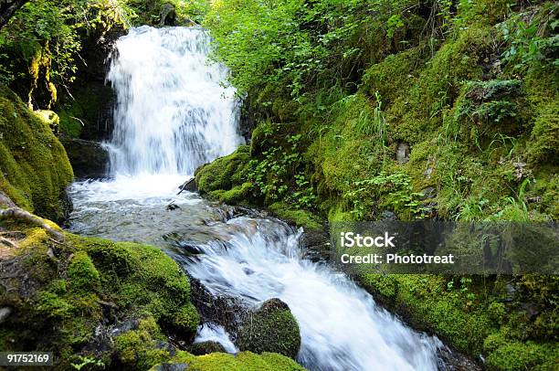 Foto de Cachoeira Na Floresta Exuberante e mais fotos de stock de Cascata - Cascata, Cena de tranquilidade, Corredeira - Rio