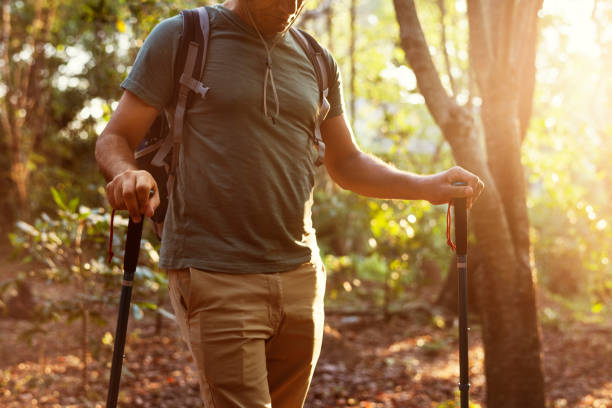 istock Man trekking into the forest 917522002