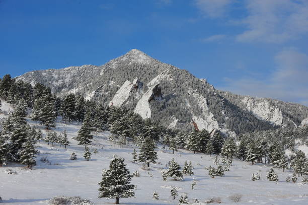 istock Winter Snowy Mountains with trees near Boulder Colorado 917525064