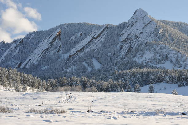 istock Snowy Winter Scene near Boulder Colorado with Flatirons 917525246