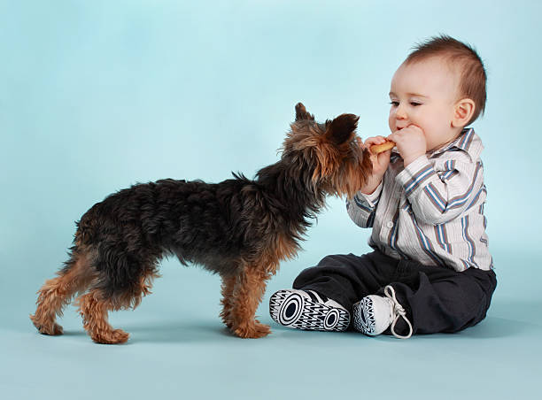 istock baby boy and dog 91752599