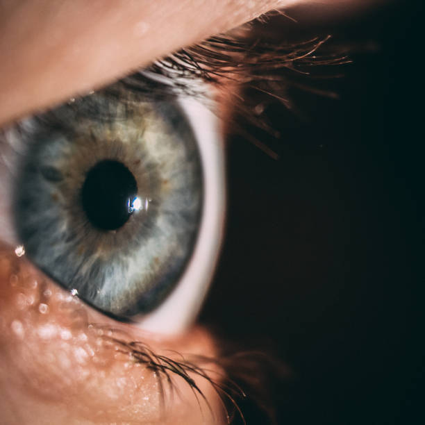 istock enlarged image of an eye iris made with a slit lamp 917527762