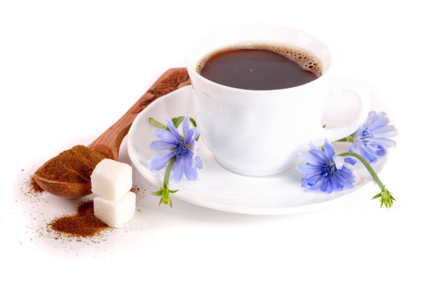 chicory drink and chicory flower isolated on white background - drink brown herb heat imagens e fotografias de stock