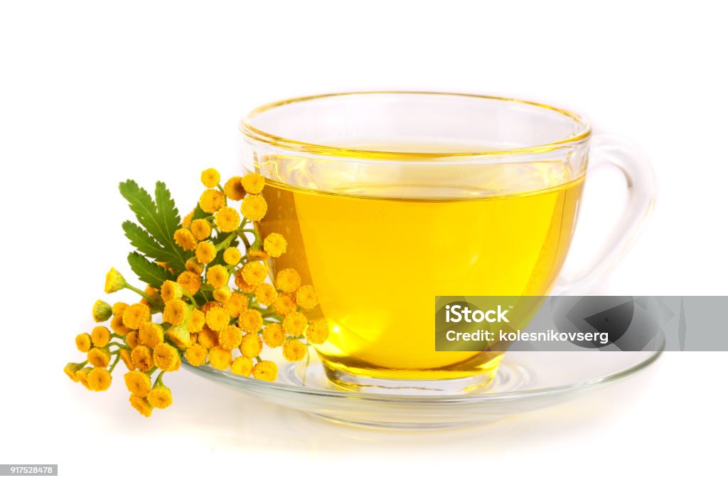 Tancy Tea Tansy Tea With Flowers Isolated On White Background Stock Photo ...