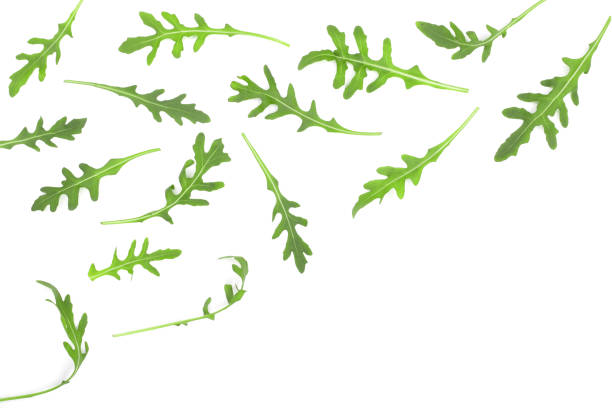istock rucola or arugula leaf isolated on white background with copy space for your text. . Top view. Flat lay pattern 917531350