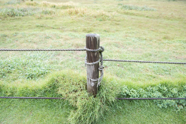 la cuerda en el poste de madera - wooden post wood grass string fotografías e imágenes de stock