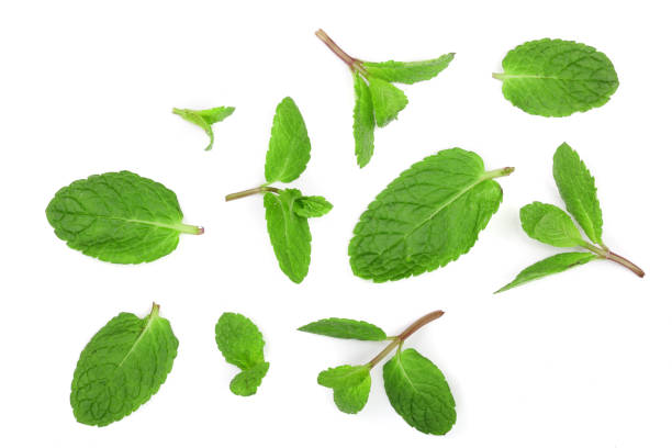 istock fresh green mint leaves isolated on white background, top view. Flat lay 917531760