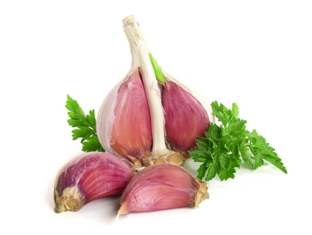 istock garlic with parsley leaf isolated on white background 917531860