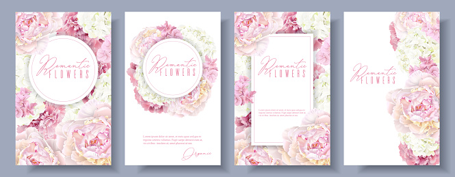 Vector botanical banners set with pink peony and white hydrangea flowers. Romantic design for natural cosmetics, perfume, women products. Can be used as greeting card or wedding invitation