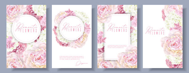 Romantic flowers banner set Vector botanical banners set with pink peony and white hydrangea flowers. Romantic design for natural cosmetics, perfume, women products. Can be used as greeting card or wedding invitation peony stock illustrations