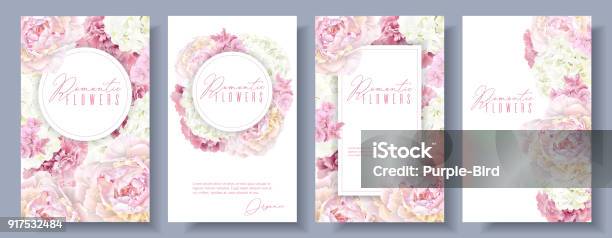 Romantic Flowers Banner Set Stock Illustration - Download Image Now - Peony, Flower, Pink Color