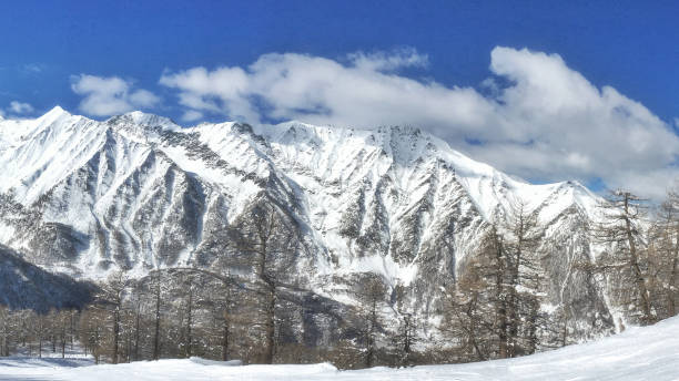istock snowy Alps in Piedmont 917539244