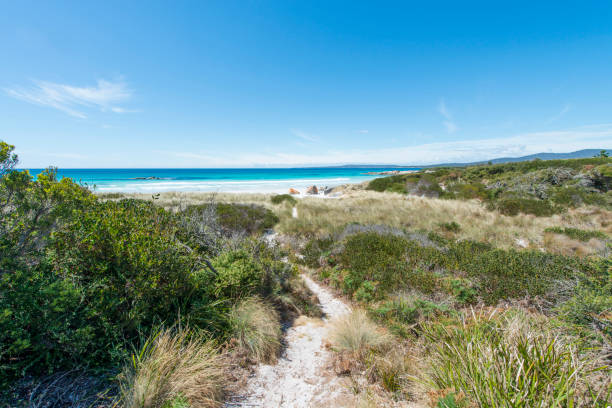 istock Bay of Fires, Tasmania, Australia 917546346