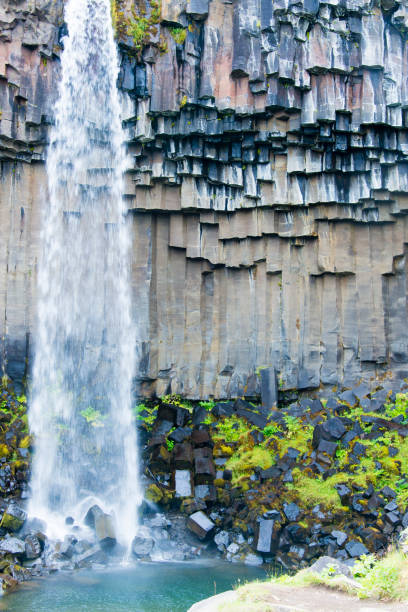 istock Svartifoss waterfall, Iceland 917546650