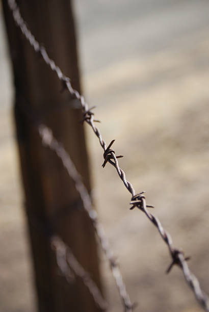 istock close up of barbed wire 91754894