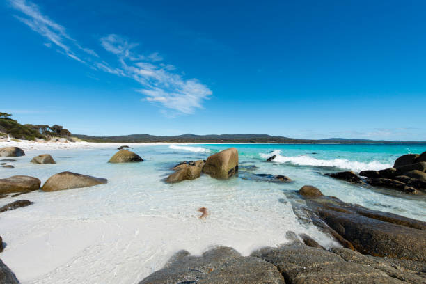 istock Bay of Fires, Tasmania, Australia 917550140