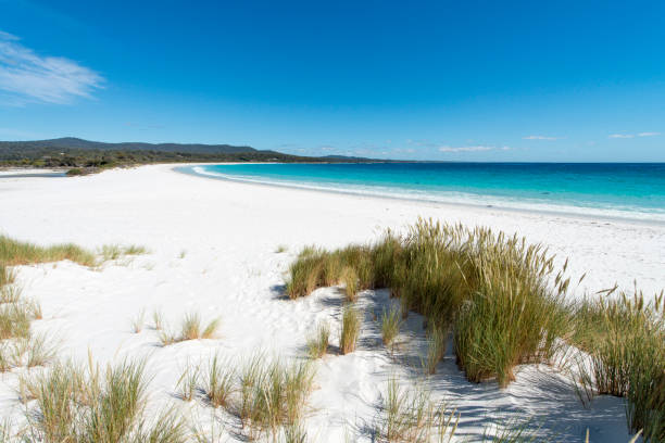 istock Bay of Fires, Tasmania, Australia 917550424