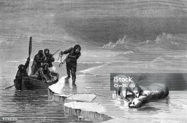 English North Pole Expedition Hunting The Bears Stock Illustration - Download Image Now - 1877, 19th Century, 2018