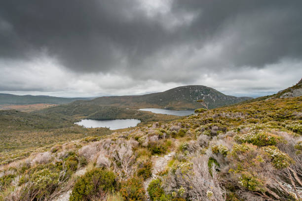 istock Cradle Mountain, Tasmania, Australia 917553460