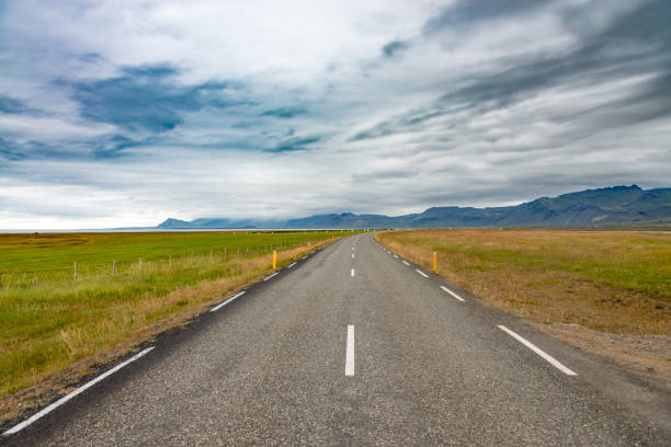 A country road in Iceland seen during the summer.