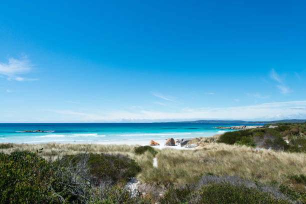 istock Bay of Fires, Tasmania, Australia 917553992