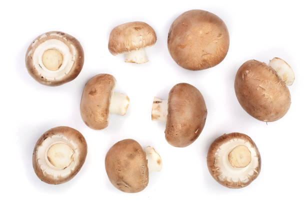 istock Fresh champignon mushrooms isolated on white background. Top view. Flat lay 917554668