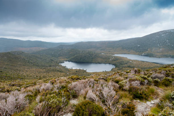 istock Cradle Mountain, Tasmania, Australia 917555074