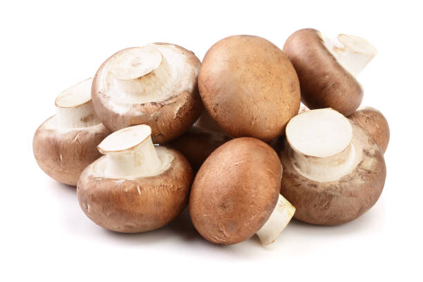 istock Royal Brown champignon isolated on white background 917555110