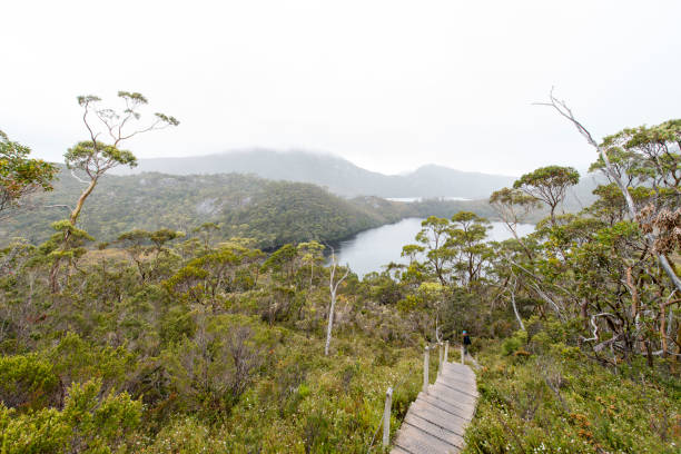 istock Cradle Mountain, Tasmania, Australia 917555442