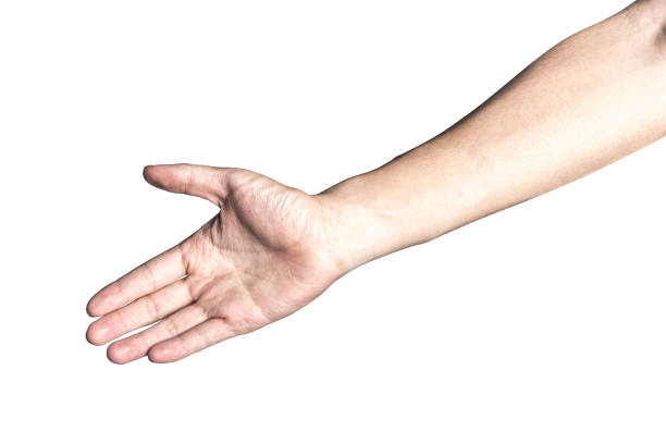 istock Hand open and ready to help or receive. Gesture isolated on white background with clipping path. 917558142