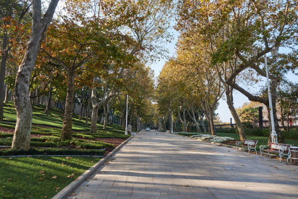 istock Park in the autumn day, Istanbul, Turkey 917562080