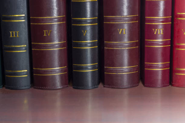 istock Book spines of old leather-bound tomes on the shelf 917565562