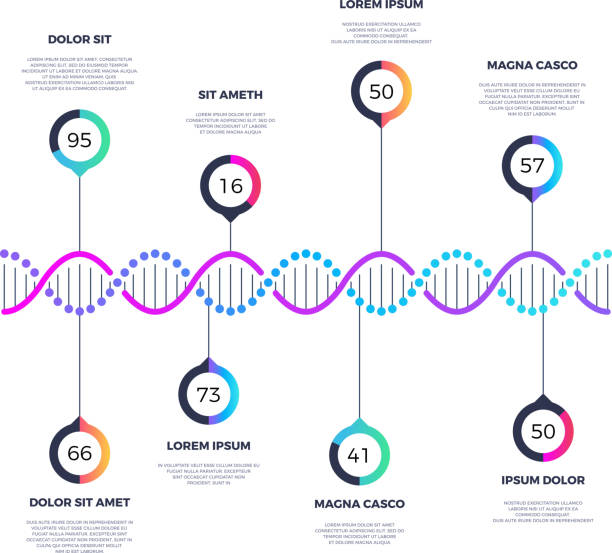 illustrations, cliparts, dessins animés et icônes de abstrait adn molécule vecteur entreprise infographie avec options - dna helix molecular structure chromosome