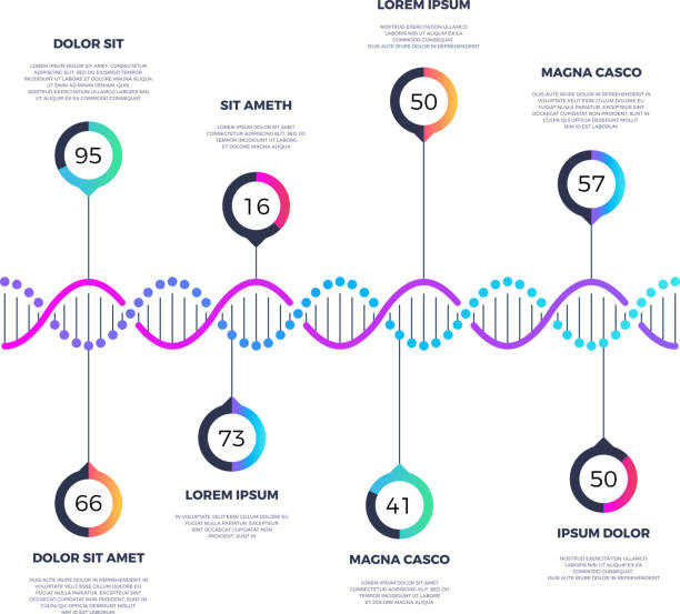 추상 dna 분자 벡터 비즈니스 infographic 옵션 - dna helix molecular structure chromosome stock illustrations