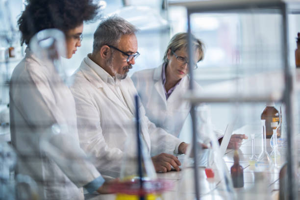 istock Group of doctors analyzing medical data on laptop in the laboratory. 917569910