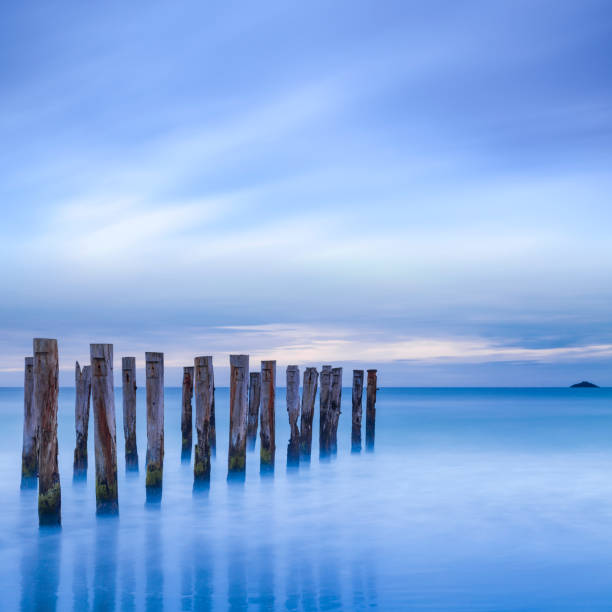 St Clair Beach Dunedin Jetty Posts The remains of an old jetty on the beach near Dunedin, New Zealand, just before dawn, square. old jetty dunedin stock pictures, royalty-free photos & images