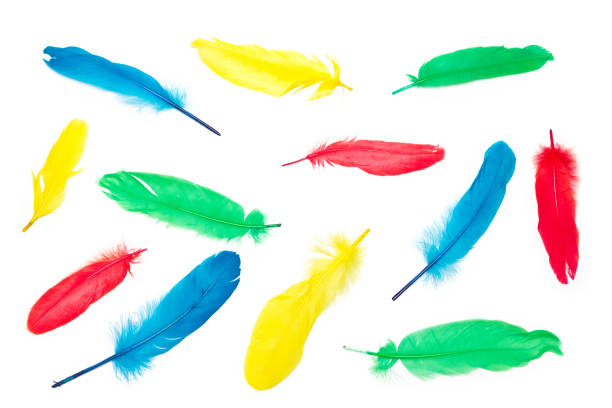 istock Bright trendy background with pattern of colored feathers on white 917574930