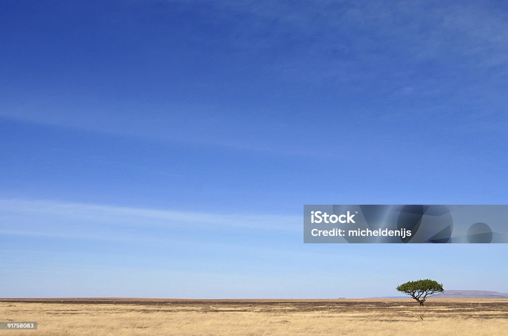 Paysage d'Afrique - Photo de Parc National du Serengeti libre de droits