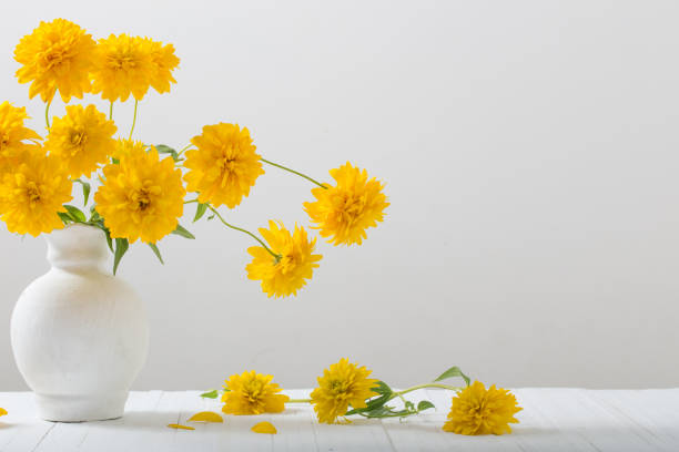 istock yellow flowers in vase on white background 917581848
