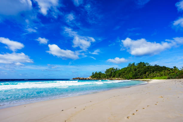 istock Beautiful tropical beach,palms,white sand,granite rocks,seychelles 3 917582112