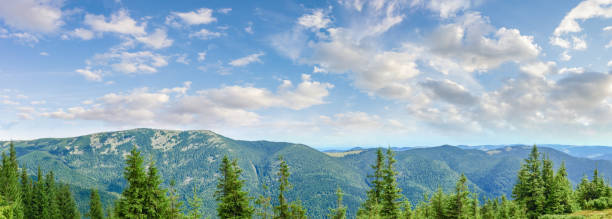 istock Panorama of mountain range in the Carpathian Mountains 917582300