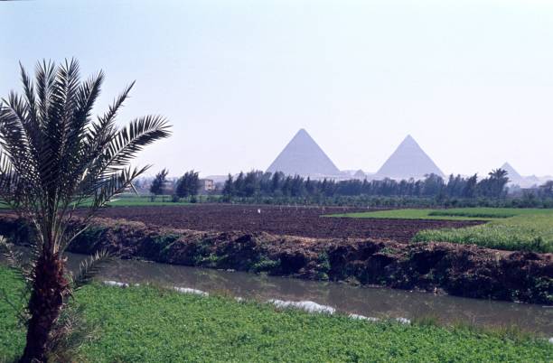 superficie cultivada en el delta del nilo, egipto - acreage fotografías e imágenes de stock