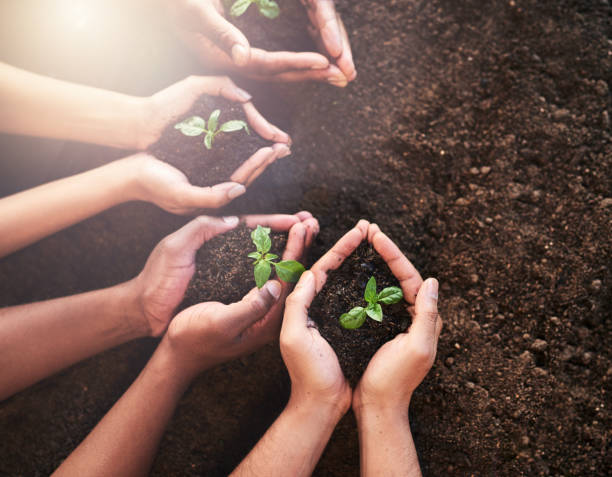 istock Now is the perfect time to start planting 917582878