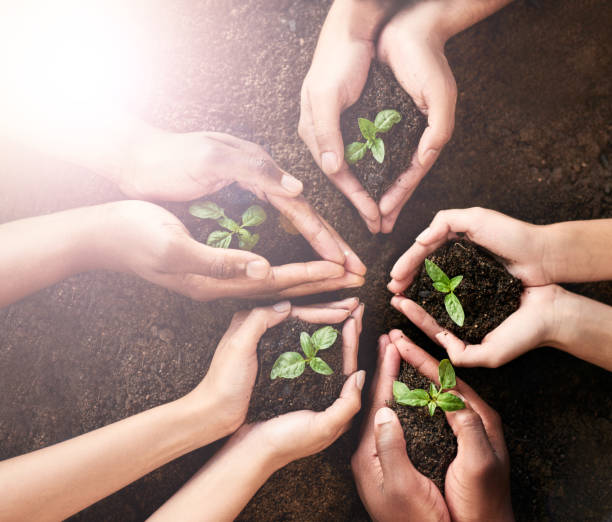 istock Success is about what you do today 917582880
