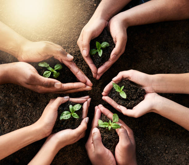 istock It’s an investment for our community and future generations 917582888