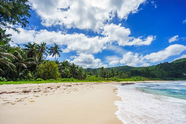 istock Beautiful tropical beach,palms,white sand,granite rocks,seychelles 25 917584074